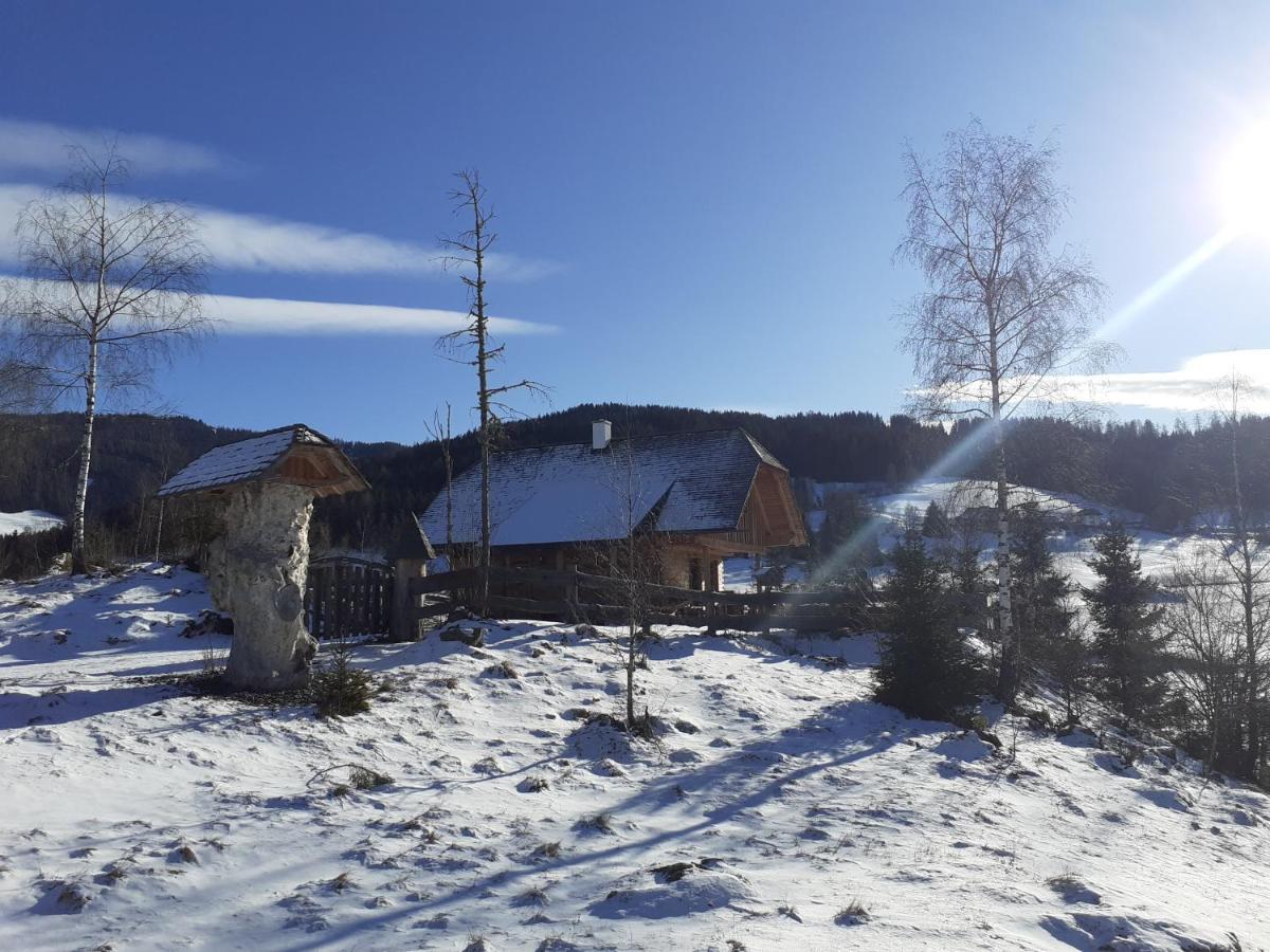 Pichelhuette Villa Murau Exterior photo